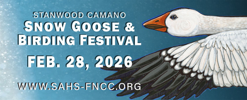 Snow Goose Festival  2026 – Feb 28, 2026